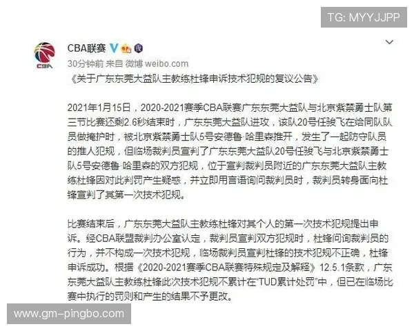 解读教练技术犯规规则及临场应对策略